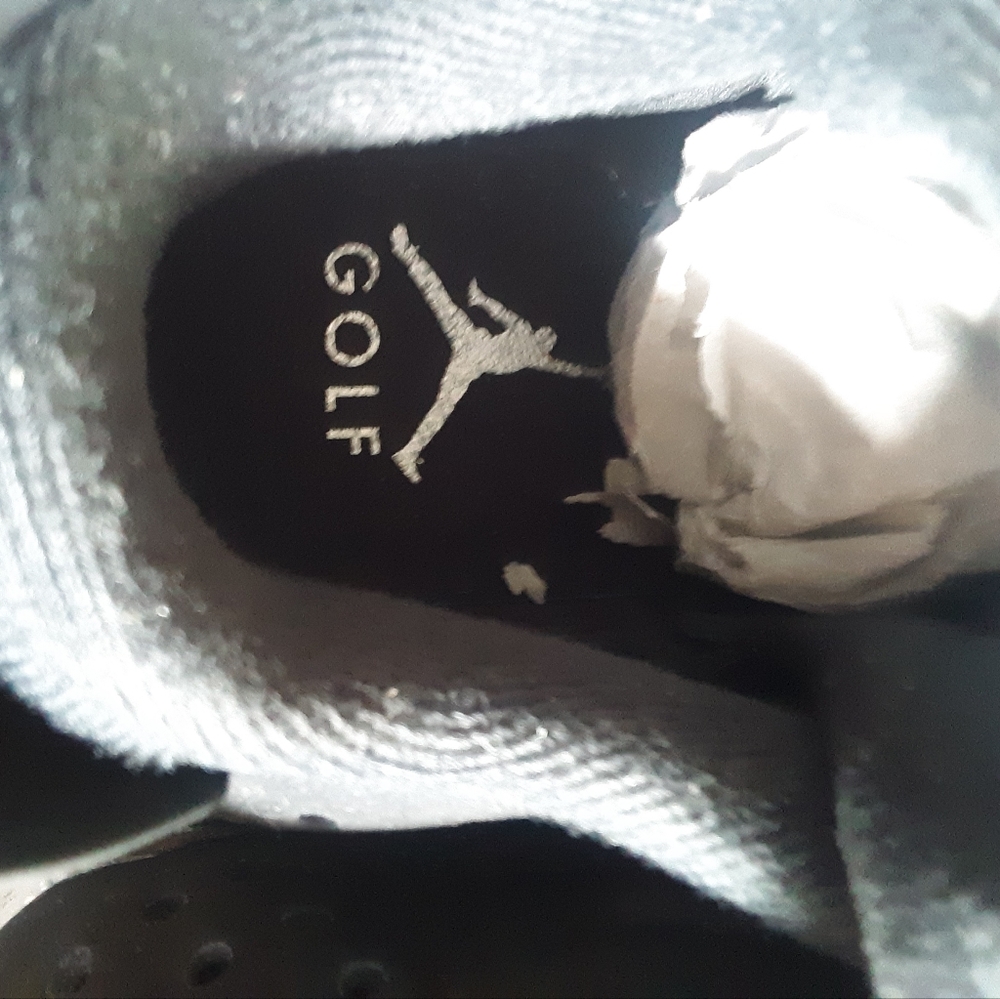 Air Jordan 6 metallic golf shoe men's Sz 3.5 - Picture 4 of 5